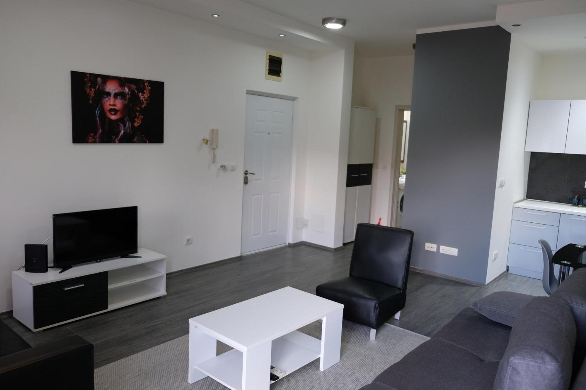 Ring Inn Apartments Obrenovac  Номер фото